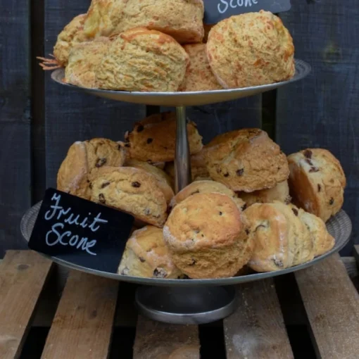 Fruit Scone