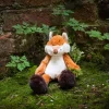Little Fergus Fox