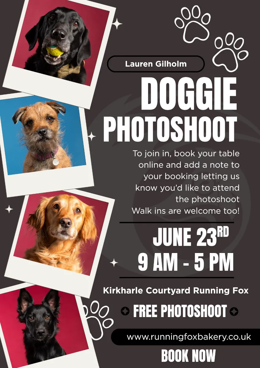 Doggie Photoshoot by Lauren Gilholm - June 23rd at Kirkharle Courtyard
