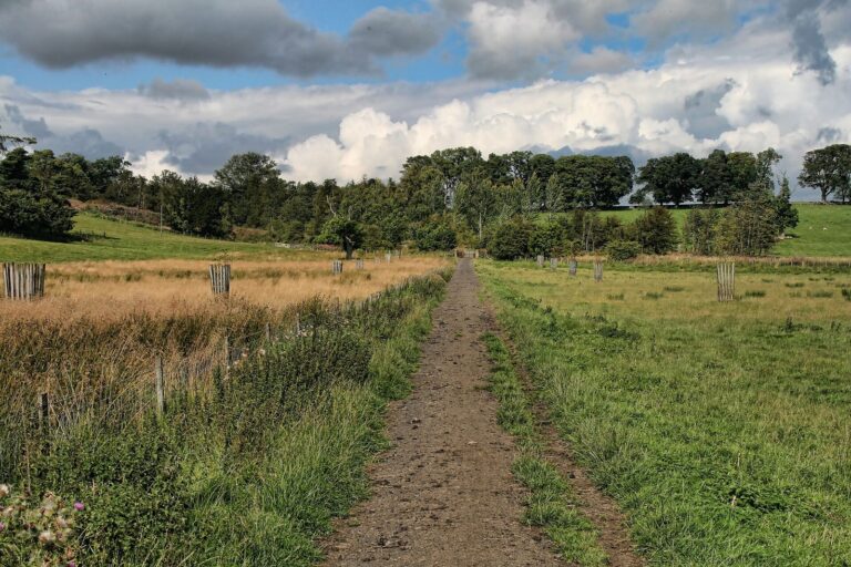 Kirkharle Lane