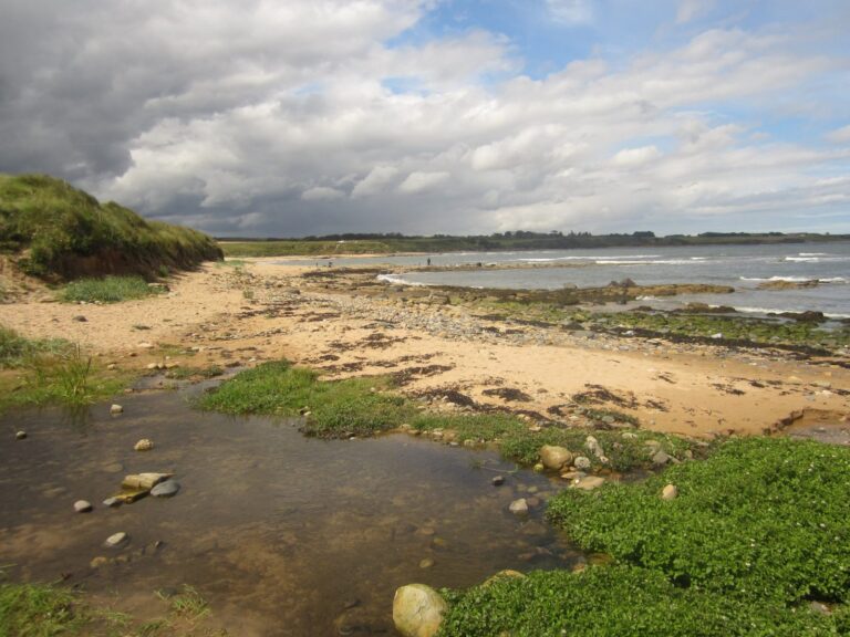 Longhoughton Beach