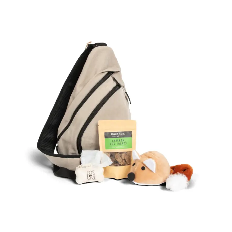 Santa Paws Gift Bag