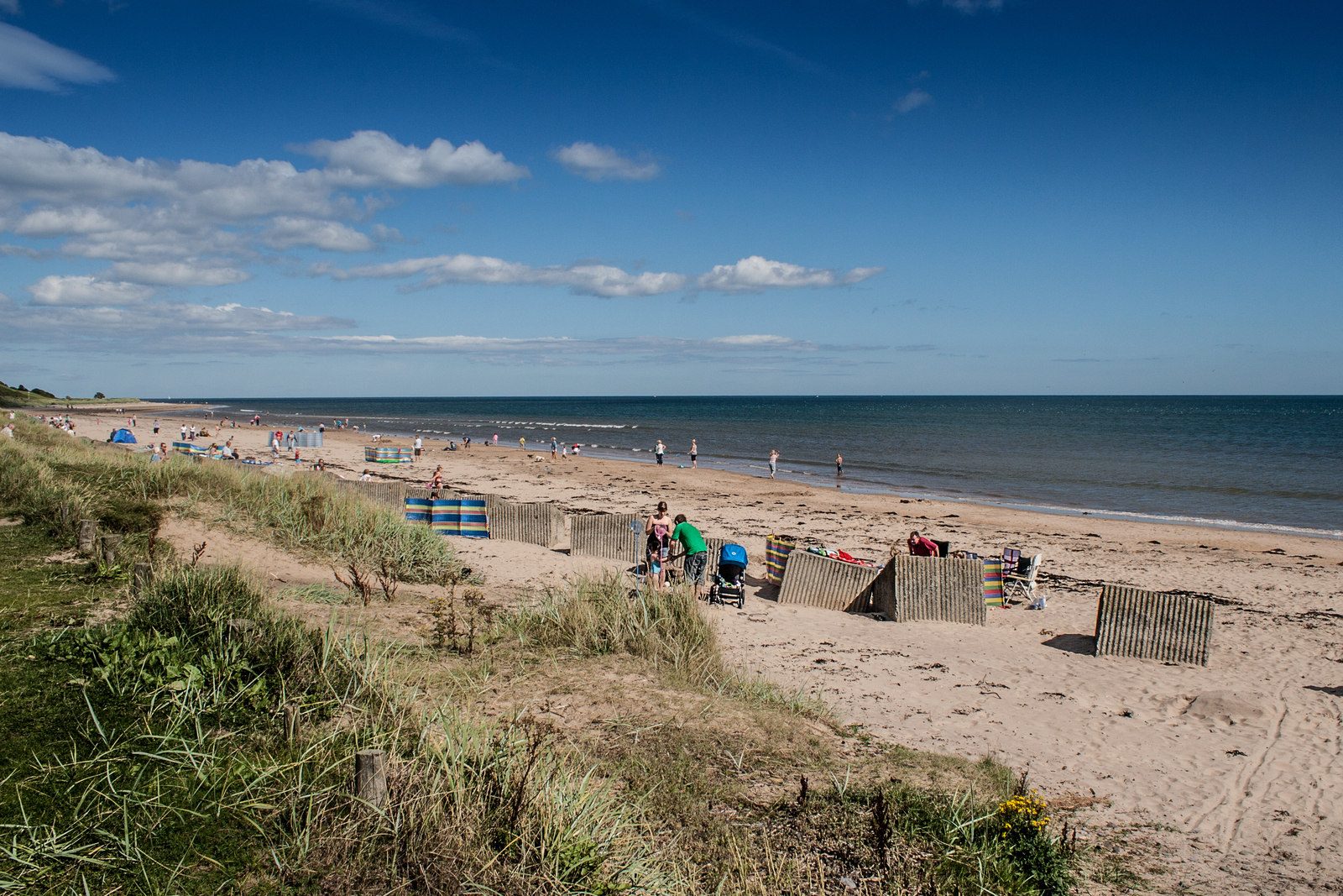 Families, windbreaks and dunes along the sandy beach at Alnmouth on a sunny summer day