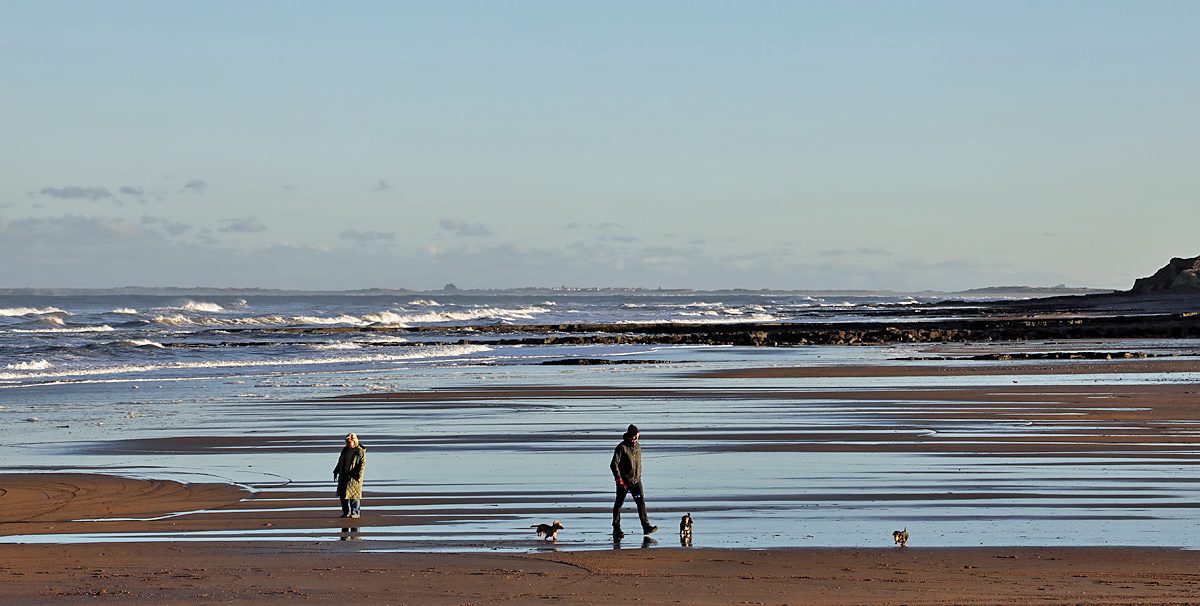 Two dog walkers and their dogs on the wet, rippled sand at Cocklawburn Beach