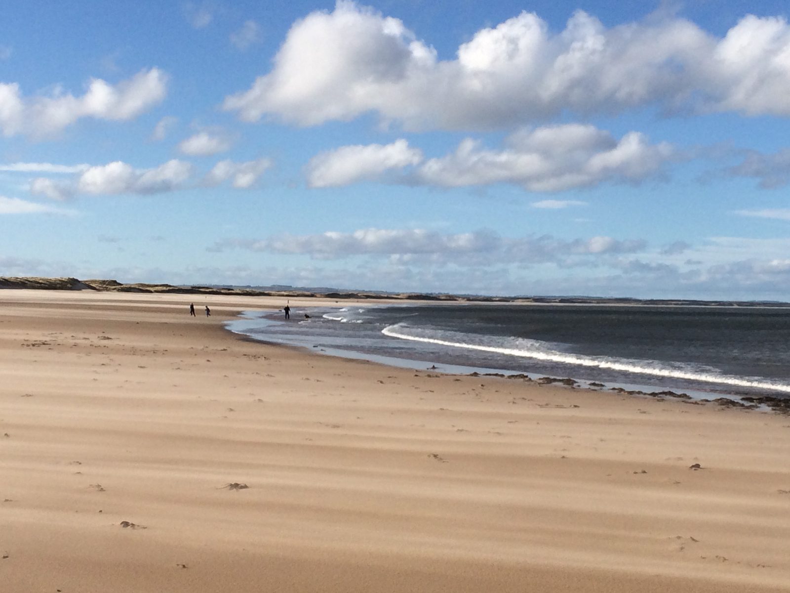Walkers and a dog at the water's edge on the long sandy sweep of Cresswell Beach