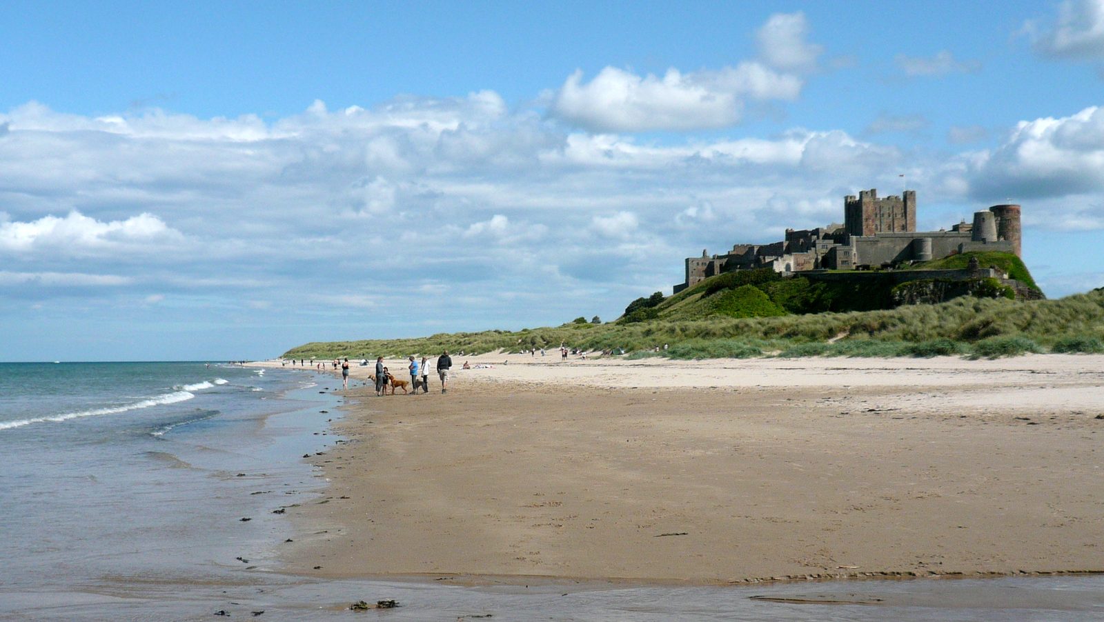 Walkers and their dogs on the wide golden sands below Bamburgh Castle on a bright summer day