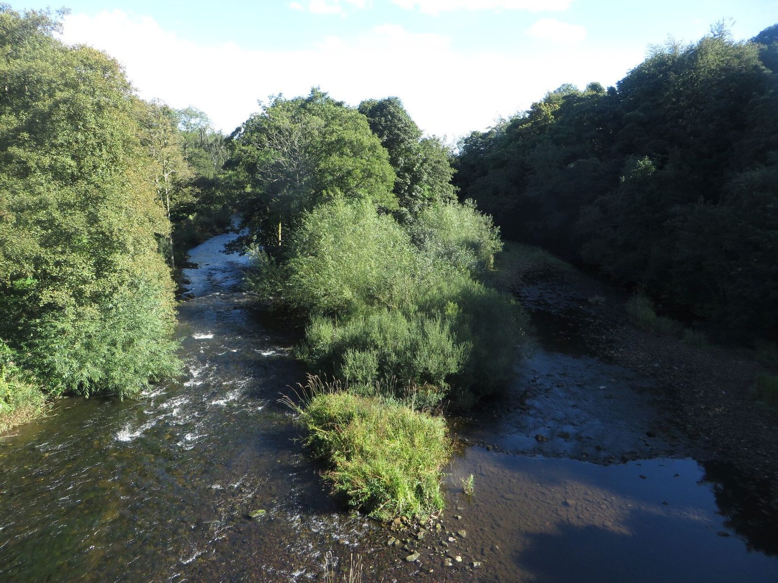 The River Coquet running between wooded banks at Felton on a bright late-summer afternoon