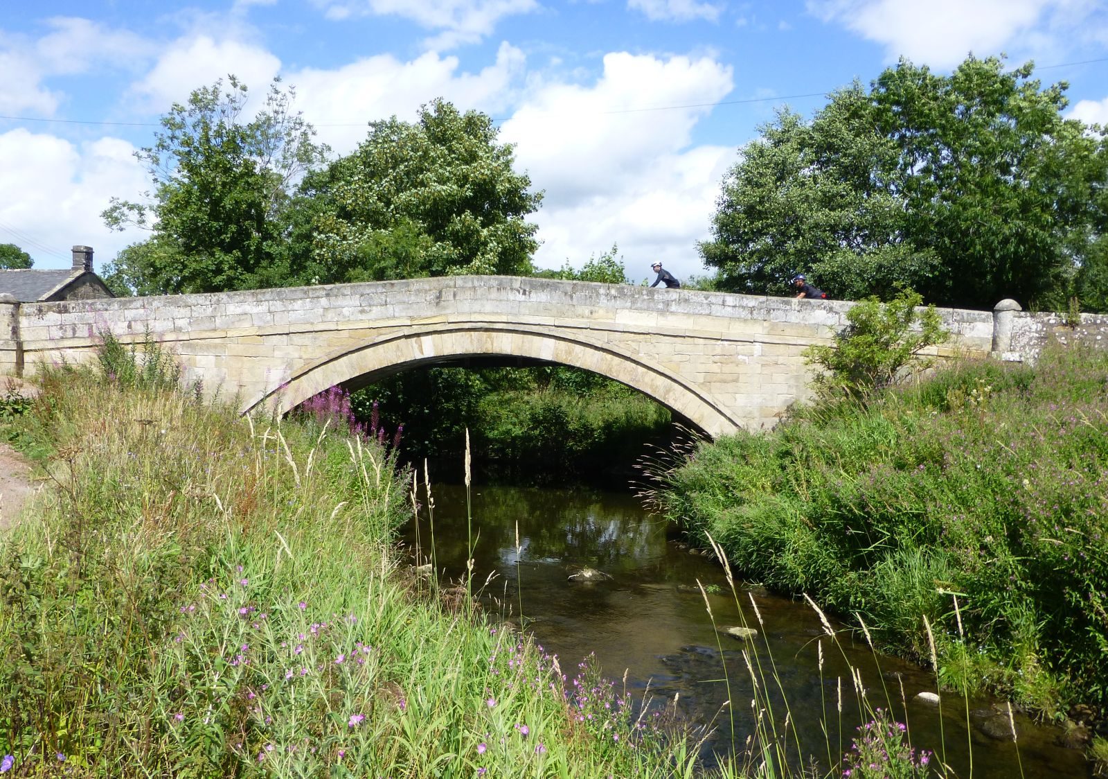 Cyclists crossing the old stone bridge at Thropton on a summer day, with wildflowers along the burn below