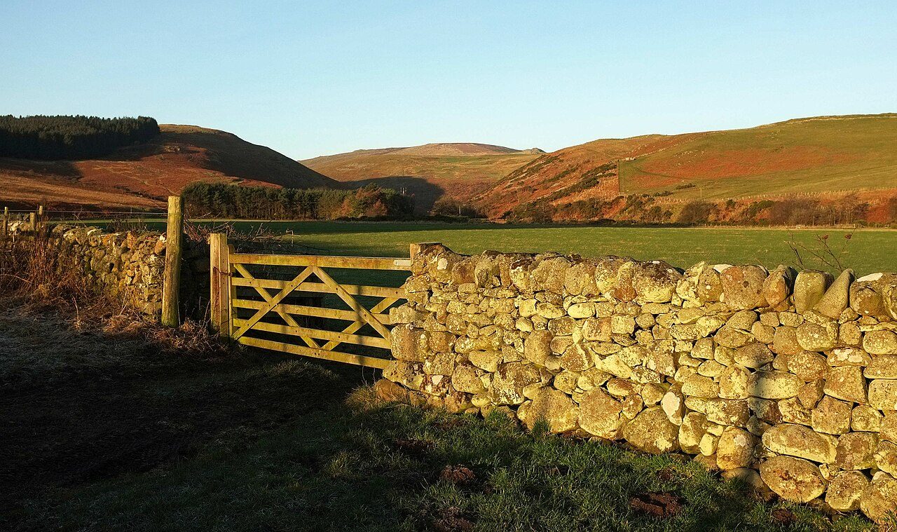 A field gate and drystone wall in low golden light, looking up the Breamish valley towards the Cheviot Hills