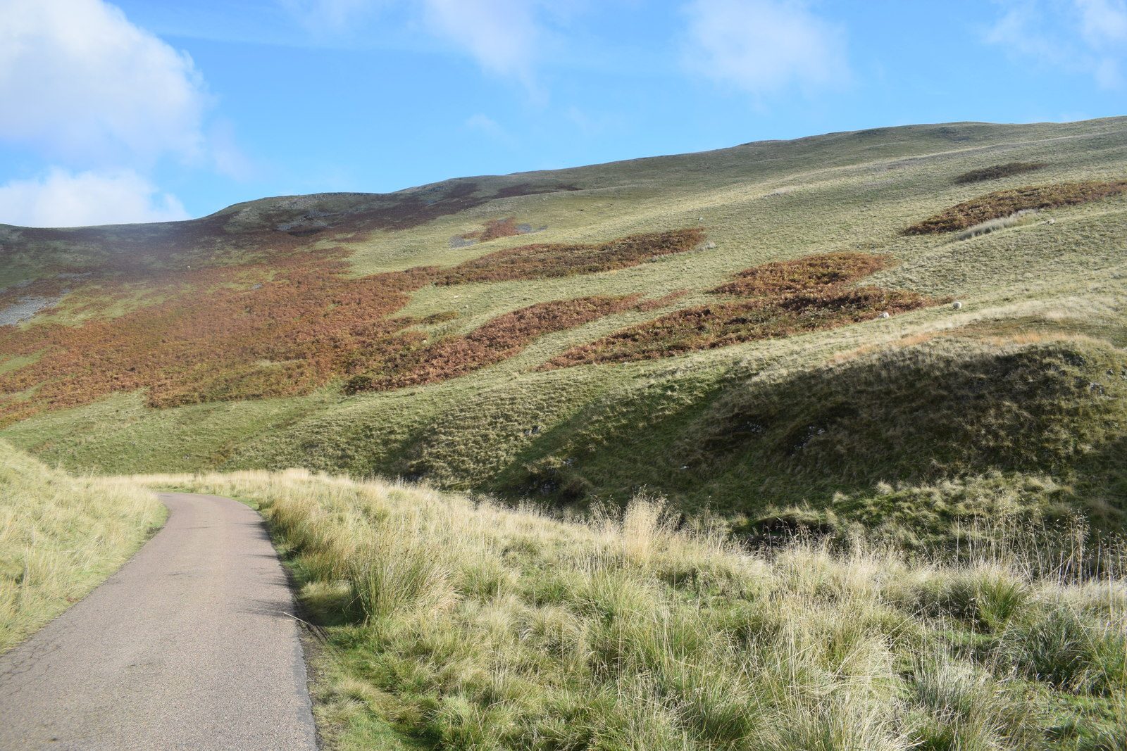 A single-track lane curving away up a Northumberland valley beneath a wide blue sky and tall white clouds