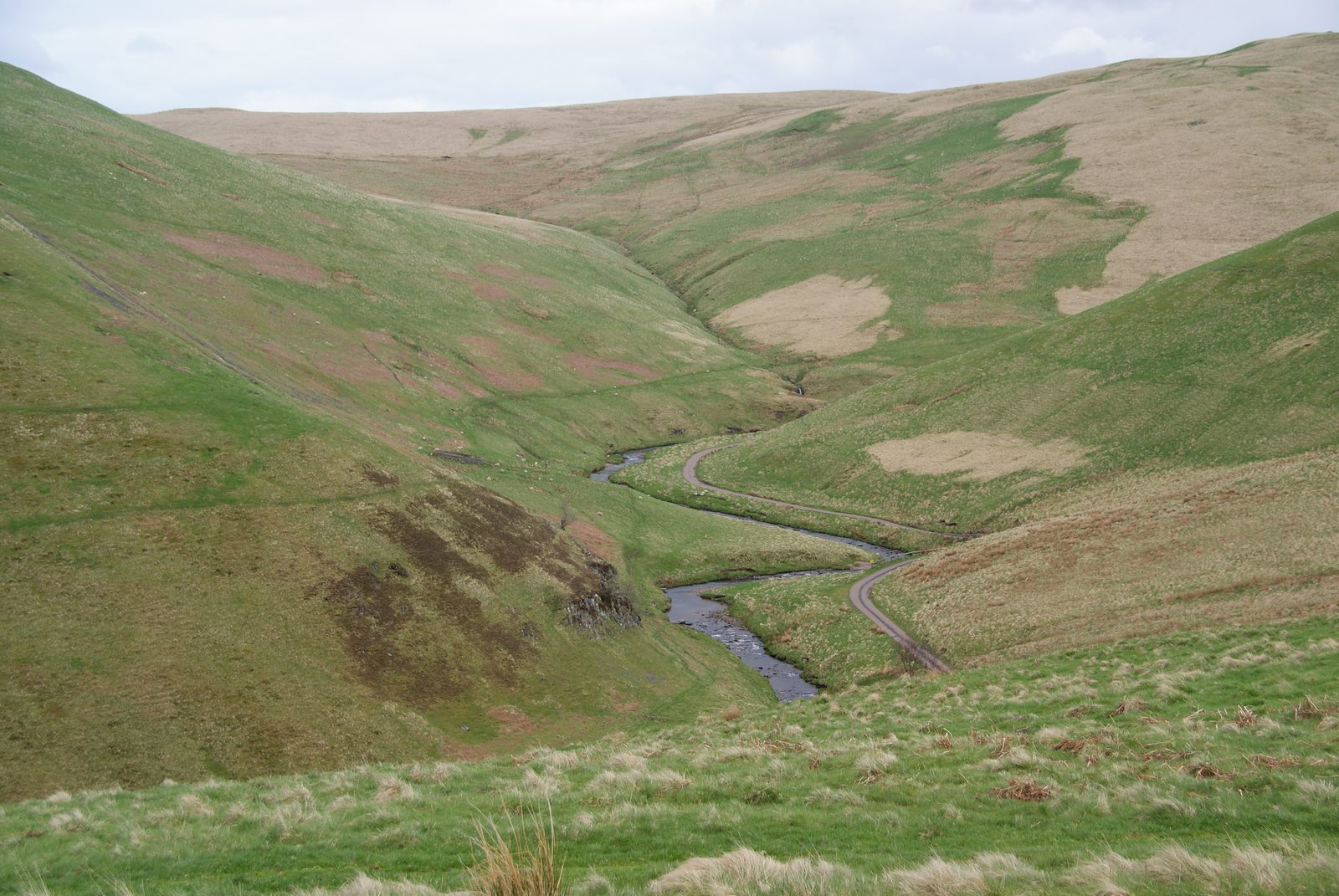The River Coquet winding along the floor of upper Coquetdale between wide, empty green hills