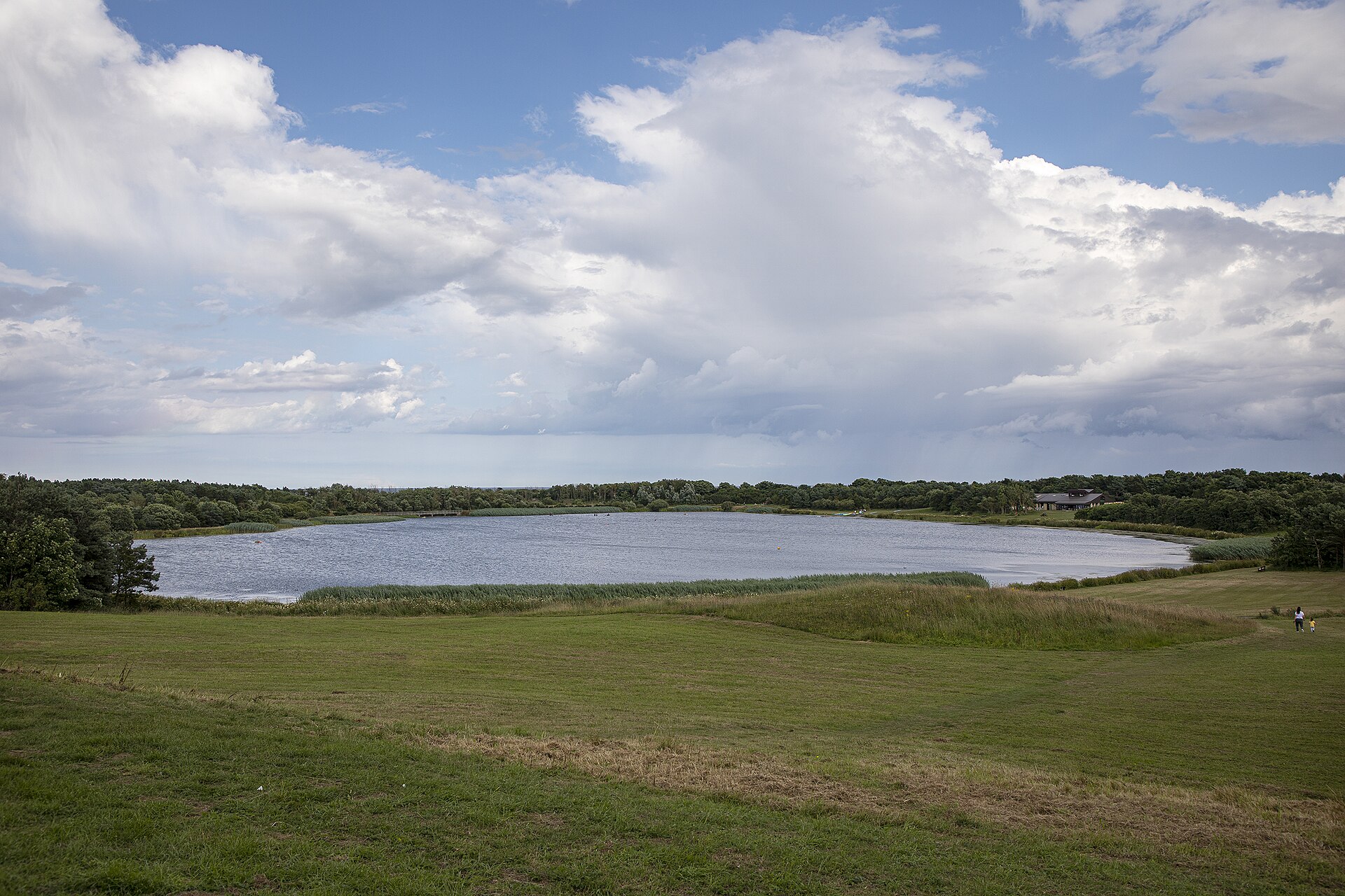 Ladyburn Lake and the surrounding grassland at Druridge Bay Country Park, Northumberland
