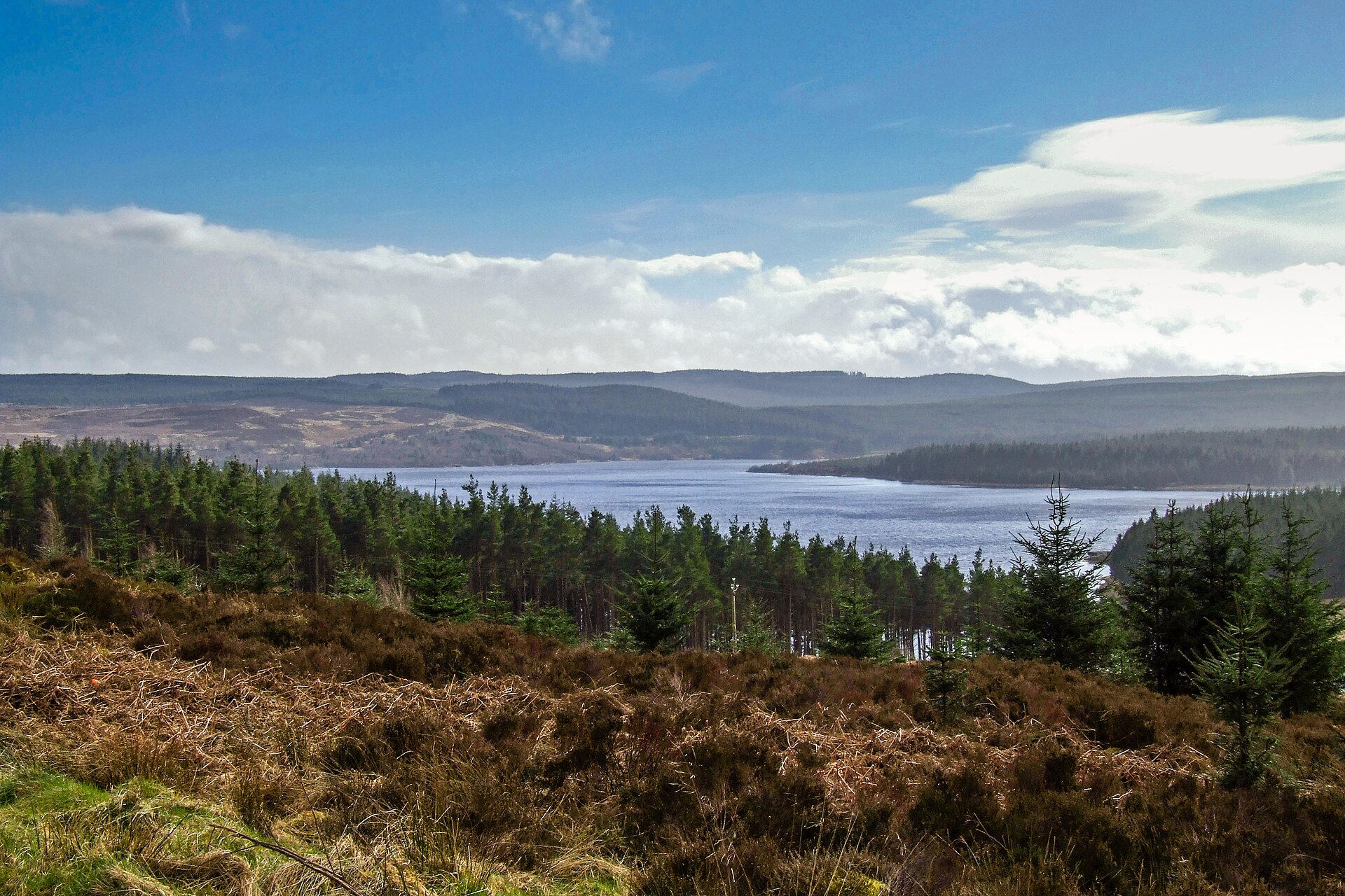 Kielder Water reservoir surrounded by forest under a blue sky in Northumberland